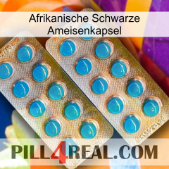 Africa Black Ant Capsule new08